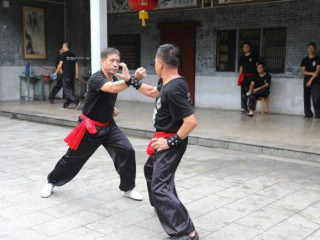 洪拳属于中国传统拳术，是南派拳术代表之一，与刘、李、蔡、莫合称广东五大名拳。