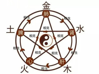 中医的平衡密码